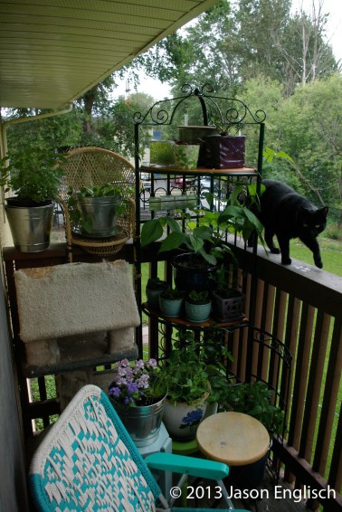 wine rack garden jenglisch