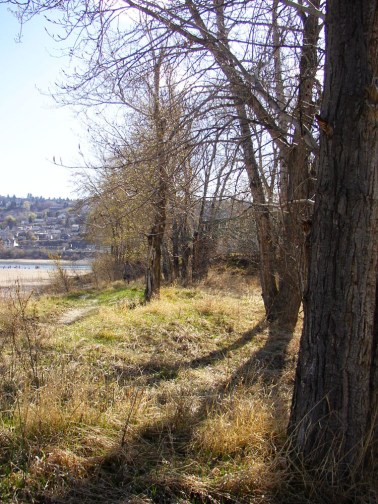 north thompson river overlander park